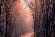 波兰险胜保加利亚，锁定欧国联半决赛席位