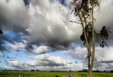 水晶宫全队发扬团结，客场逼平实力对手成功保住比分