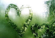 赫尔塔冲击德甲前列，绯闻不断