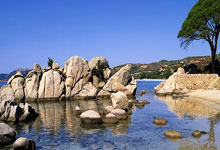 水晶宫全队发扬团结，客场逼平实力对手成功保住比分